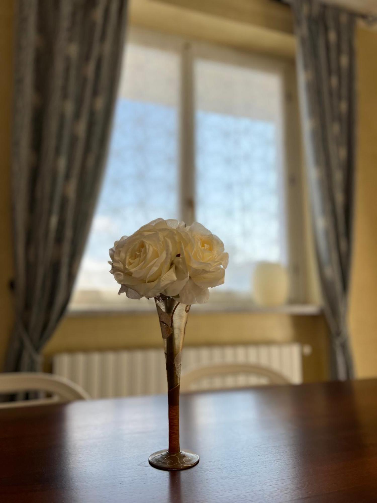 Casa I Cedri Apartment Borgo San Dalmazzo Bagian luar foto