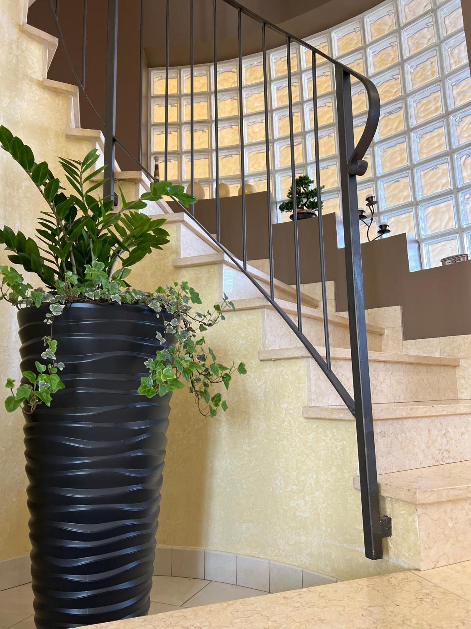 Casa I Cedri Apartment Borgo San Dalmazzo Bagian luar foto